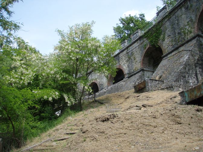 Biacchi spericolati...: da brivido!
